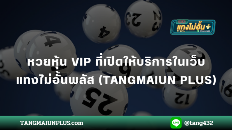 หวยหุ้น VIP ที่เปิดให้บริการในเว็บ แทงไม่อั้นพลัส (TANGMAIUN PLUS)